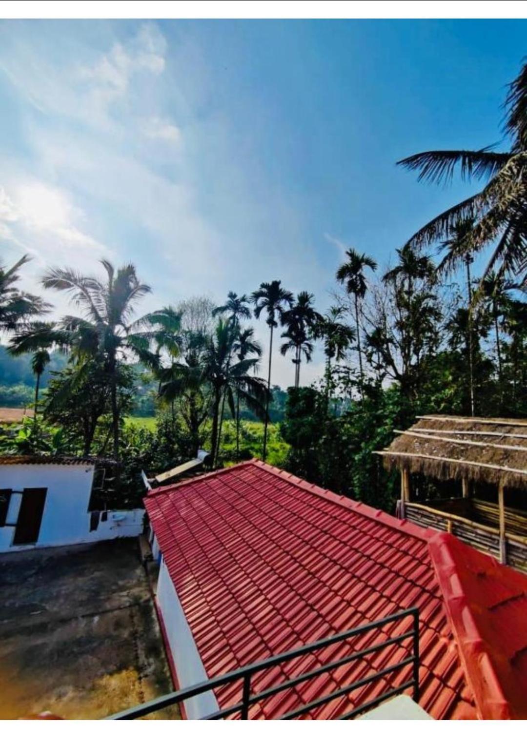 Streaming Valley Independent Coffee Estate Stay 马迪凯里 外观 照片